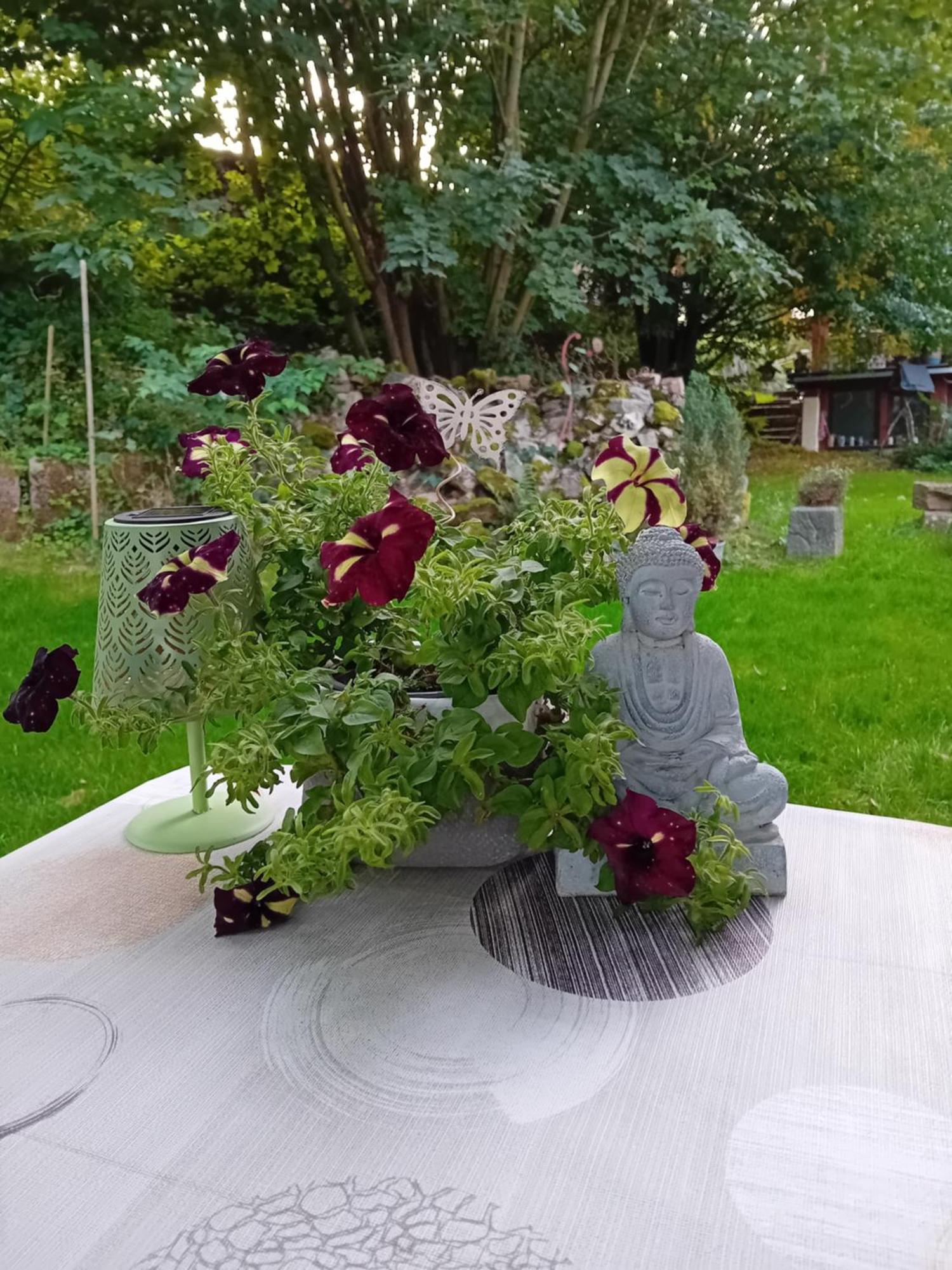 Ferienhaus Mit Garten Im Odenwald Zu Vermieten Frankisch-Crumbach Ngoại thất bức ảnh